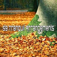 59 Tranquil Arrangements