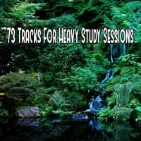 73 Tracks For Heavy Study Sessions