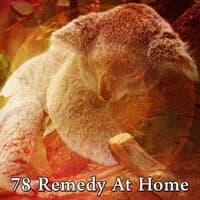 78 Remedy at Home