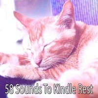 58 Sounds To Kindle Rest