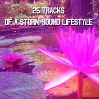 25 Tracks Of A Storm Sound Lifestyle