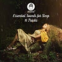 Essential Sounds for Sleep – 15 Tracks, Rain & River, Relax with Nature Sounds