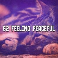 62 Feeling Peaceful