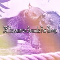 58 Expansive Sounds For Sleep