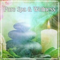 Pure Spa & Wellness – Revitalize Yourself, Smooth Piano Sounds for Well-Being