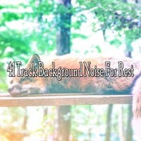 41 Track Background Noise For Rest