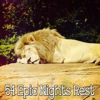 54 Epic Nights Rest