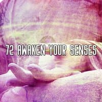 72 Awaken Your Senses