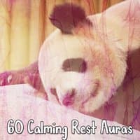 60 Calming Rest Auras