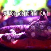 53 Sounds To Chill Out