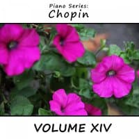 Piano Series: Chopin, Vol. 14