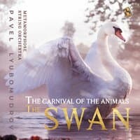 Saint-Saëns: The Carnival of the Animals, R. 125: XIII. The Swan