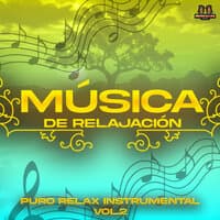 Puro Relax Instrumental Vol. 2