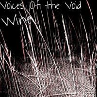 Voices Of The Void