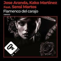 Flamenco del carajo