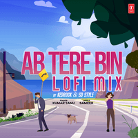 Ab Tere Bin Lofi Mix