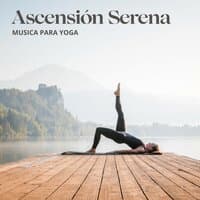 Ascensión Serena: Yoga para Principiantes