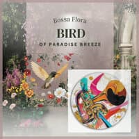 Bird of Paradise Breeze