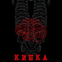 Кишка