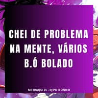 Chei de Problema na Mente, Vários B.Ó Bolado