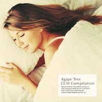 CCM piano for happy sleep of Agape tree Vol.3