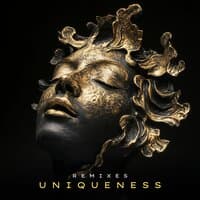 Uniqueness Remixes