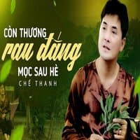 Còn Thương Rau Đắng Mọc Sau Hè