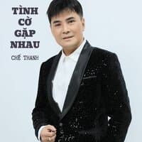 Tình Cờ Gặp Nhau #1