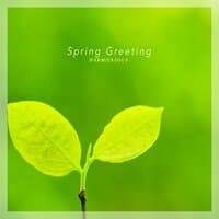 Spring Greeting