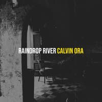 Raindrop River