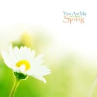 You Are My Spring