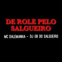 De Rolê pelo Salgueiro