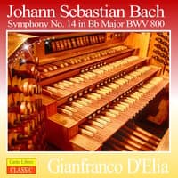 Bach: Sinfonia No. 14 in B-Flat Major, BWV 800