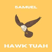 Hawk Tuah