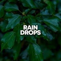 Rain Drops