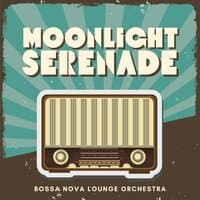 Moonlight Serenade: Coffee Shop Bossa Nova