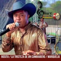 Rosita / La Tristeza de un Cumbiabero / Marquelia