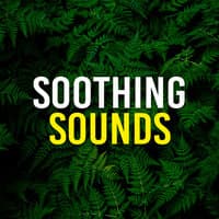 Soothing Sounds