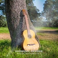 Harmonic Reverie: Guitar for Relaxation