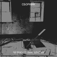 Черно-белые братья