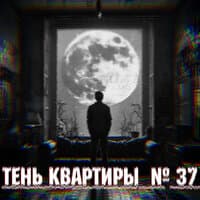 Тень Квартиры № 37