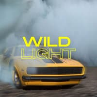 Wild Light