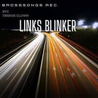 Links Blinker