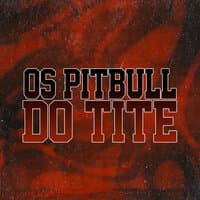 Os Pitbull do Tite