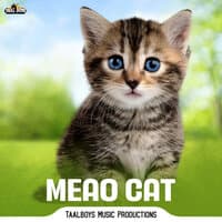 Meao Cat