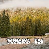 ТОЛЬКО ТЫ