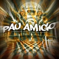 Pau Amigo