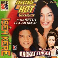 Istri Setia