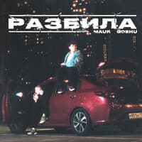 РАЗБИЛА