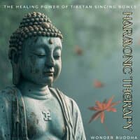 Harmonic Therapy: The Healing Power of 538 Hz Tibetan Singing Bowls